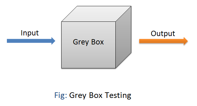 What is GREY Box Testing in Software Testing